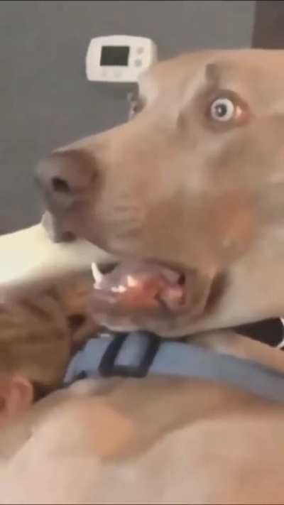 Scooby do be do