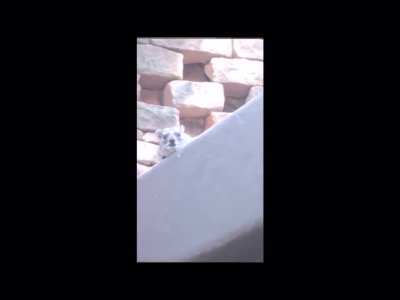 Eeee-
