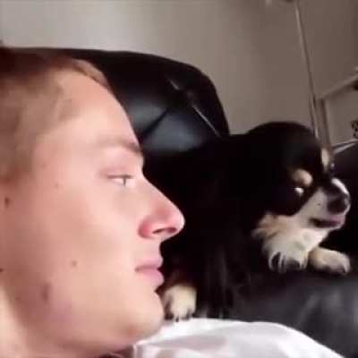 Sneaky kisses