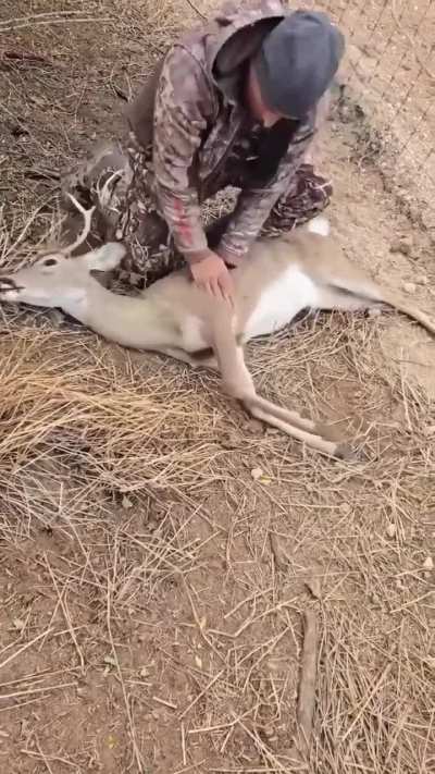 Nice vid for this sub