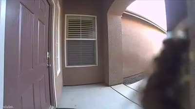 "We've been trying to reach you regarding your car's extended warranty..." (Sound On)