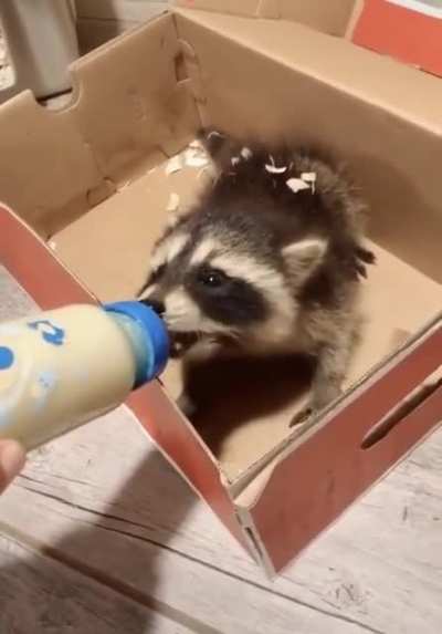 So cute. So mean