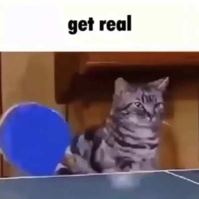 adhd brain go brrrrrr
