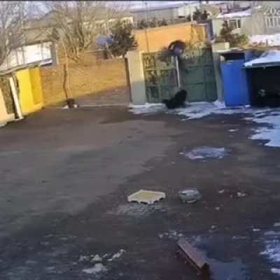 BU DA BUG&Uuml;N&Uuml;N EFSANEVİ BRUH ANI