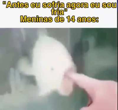 Peixe