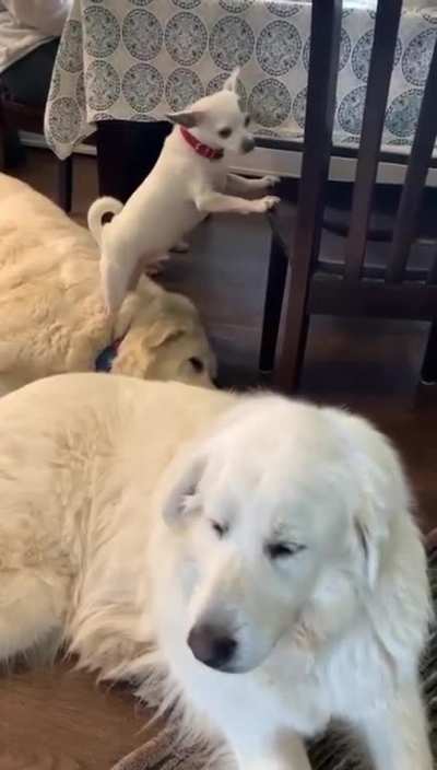 Giving a friend a step up