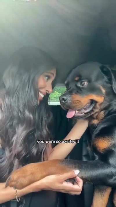 &ldquo;My big dog that I have no control over scares a mom who rightfully decides to not risk her child&rsquo;s safety, and that hurts my dog&rsquo;s feelings&rdquo;