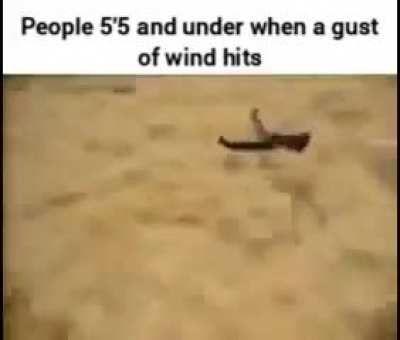 Wheeee