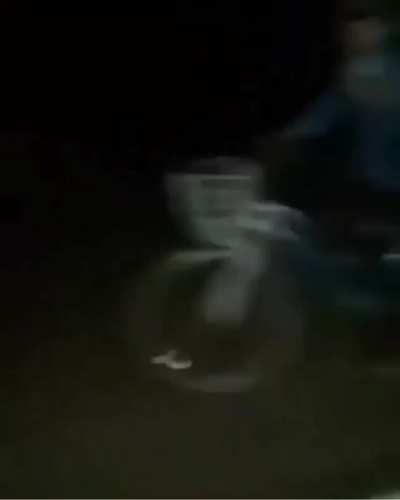 Que pasa larva