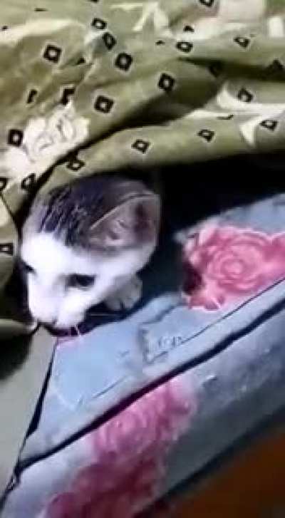 Under Cover Mission