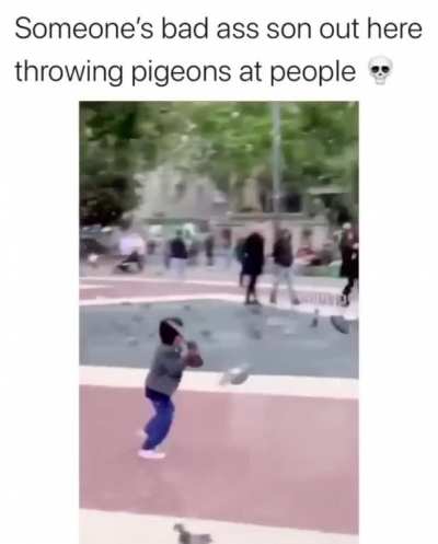 Pigeus, the relentless.