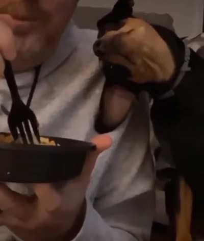 Hungry Eyes