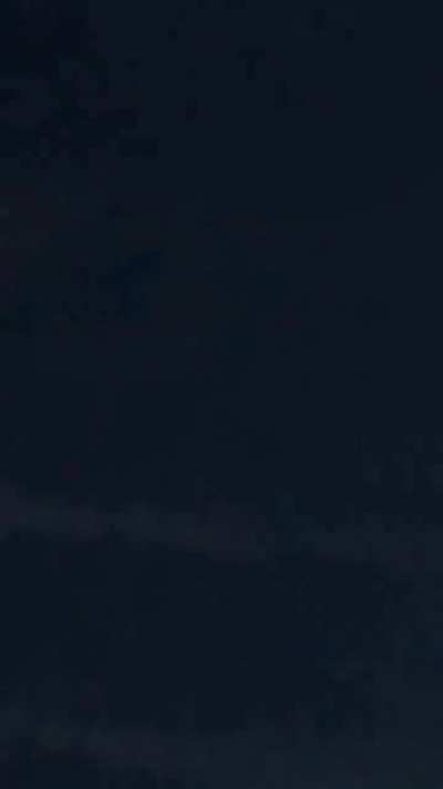 Rowan at Night