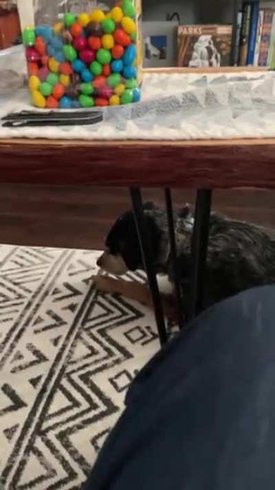 She just wants to be part of the band