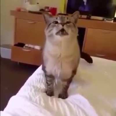 a aa aaa aaaa aaaa atchim