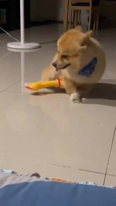 intER-SPECies SexUal ASSAuLT CAptuReD oN vIDeO! graphiC!