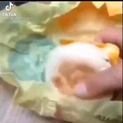 moldy sand