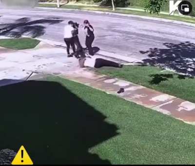 Women having a hard time stopping her Dog from attacking.