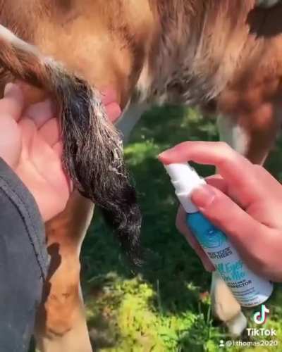 Spa day ❤️ 🐮