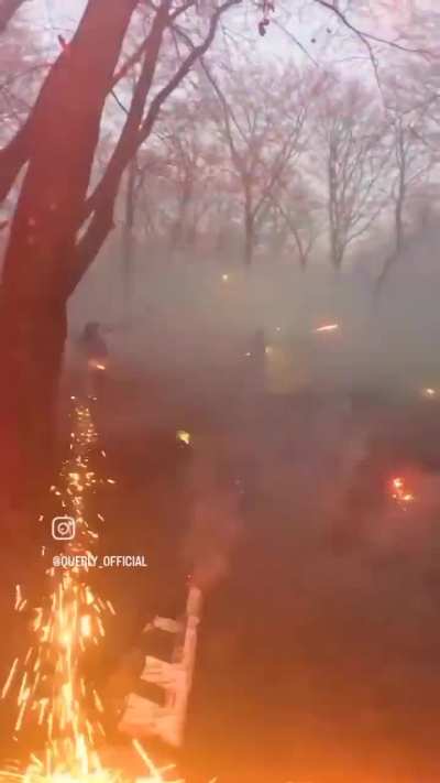 This looks like fun