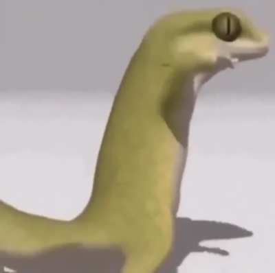 let&rsquo;s give it up for one of the best parts of the LP10 waiting period, dancing lizard