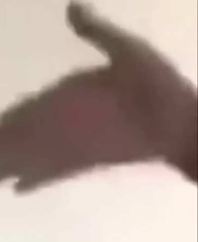 😩✋🔥