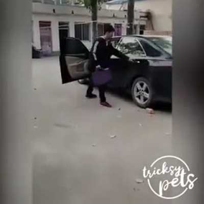 Wait for it
