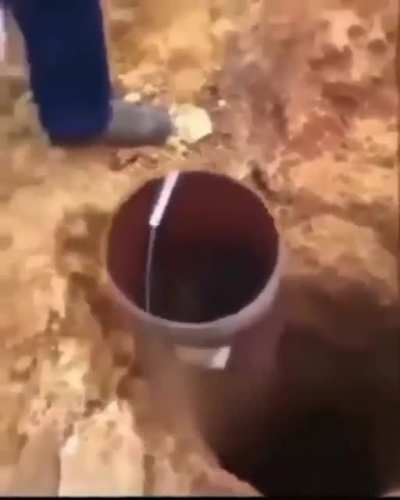Hol Up