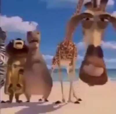 🦒🦒🦒🦒
