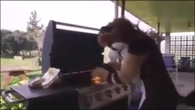Os caras que n&atilde;o gostam de furry v&atilde;o adorar esse v&iacute;deo
