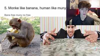 Monke