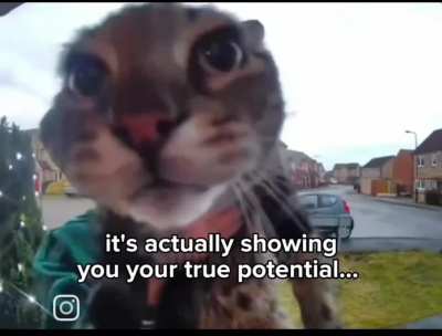 Motivashun 