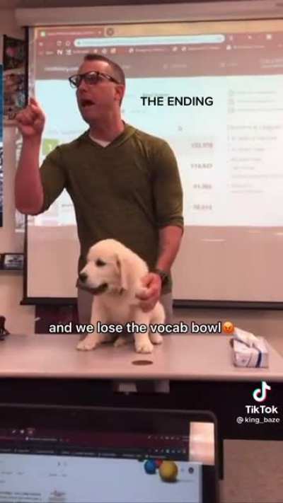 Bucking Vocab