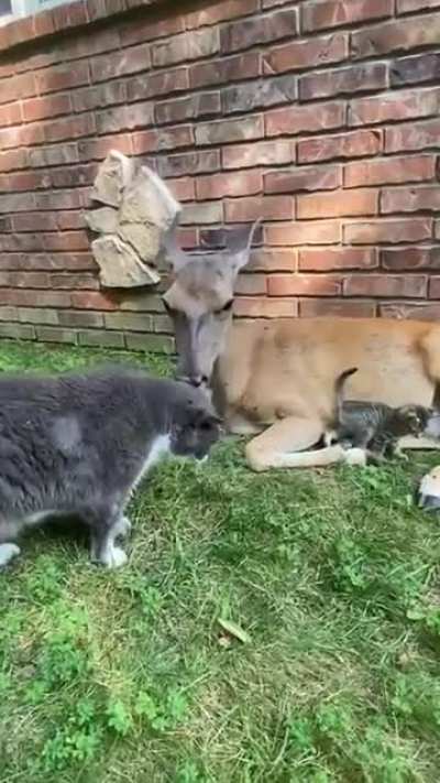 Unique group of friends