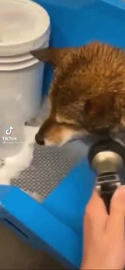 Bath time
