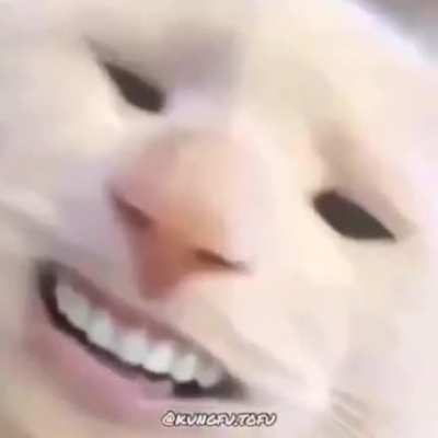 cursed_ compilation