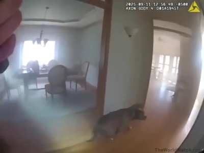 Dog Leads Officer to his Leash While Being Saved from House Fire