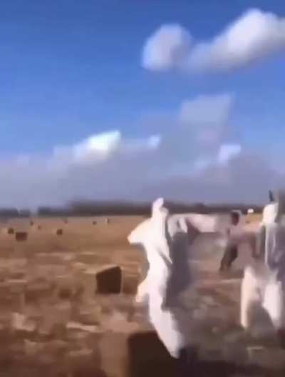 Run Forrest,run！