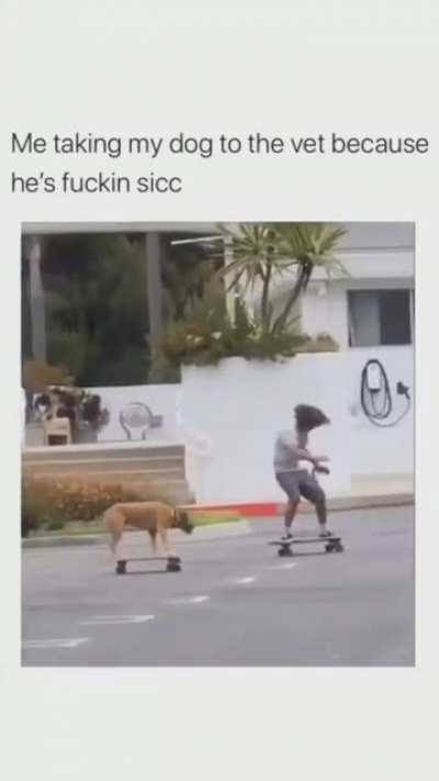 that's not a dog that's a dawg