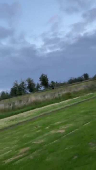 blursed_drone