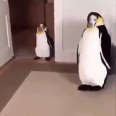 dunnndunnnn
