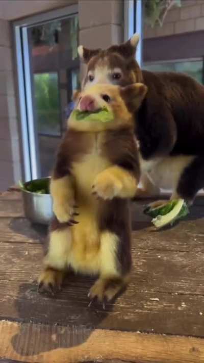 Eat your greens!
