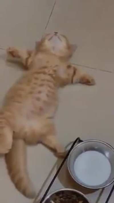 "I'm full now, goodnight!"