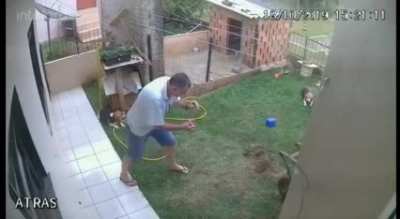 No more ants