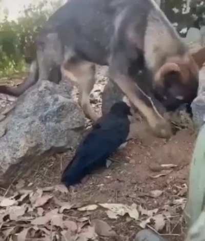 Unexpected acquaintances can eventually develop into a strong friendship