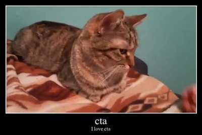 cta