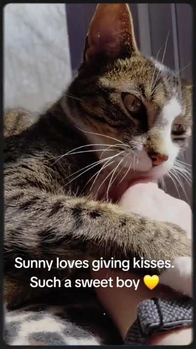 Sunny kisses!