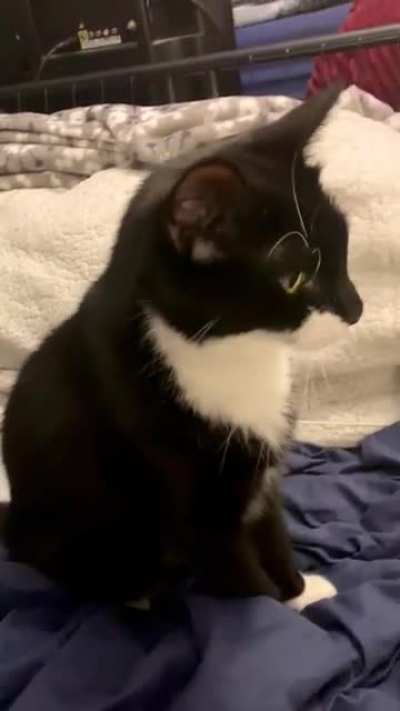 &ldquo;Oww&rdquo;