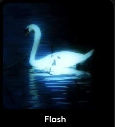 Flash (cover) let me know what you guys think 🦢🖤