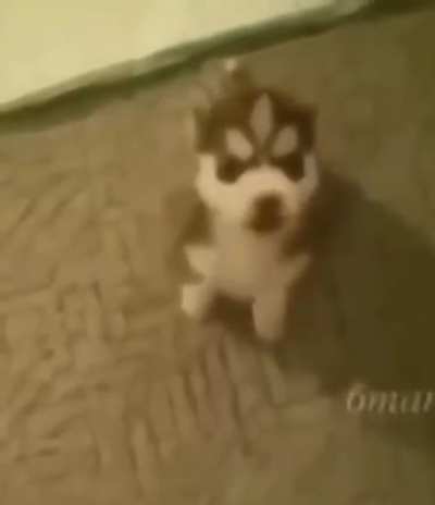 &amp;gt;:(